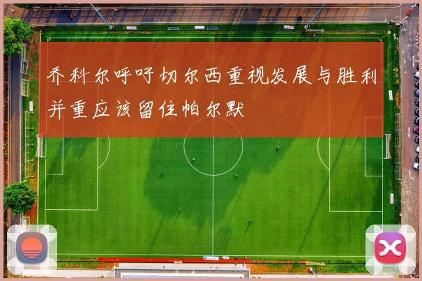 乔科尔呼吁切尔西重视发展与胜利并重应该留住帕尔默